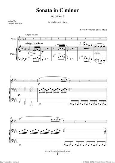 Sonata Op.30 No.2