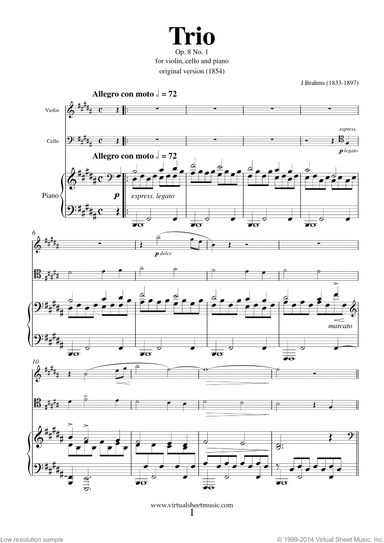 Trio No.1 Op.8 (COMPLETE)