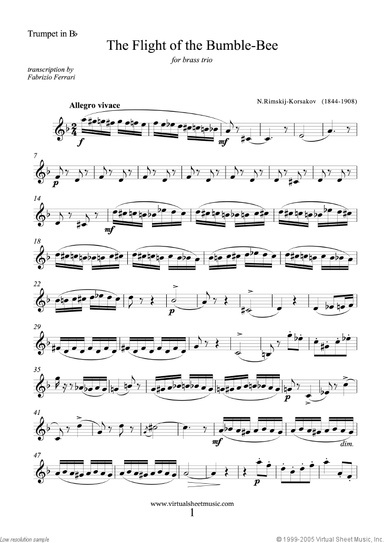 The Flight of the Bumblebee (parts)