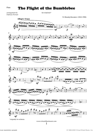 The Flight of the Bumblebee (parts)