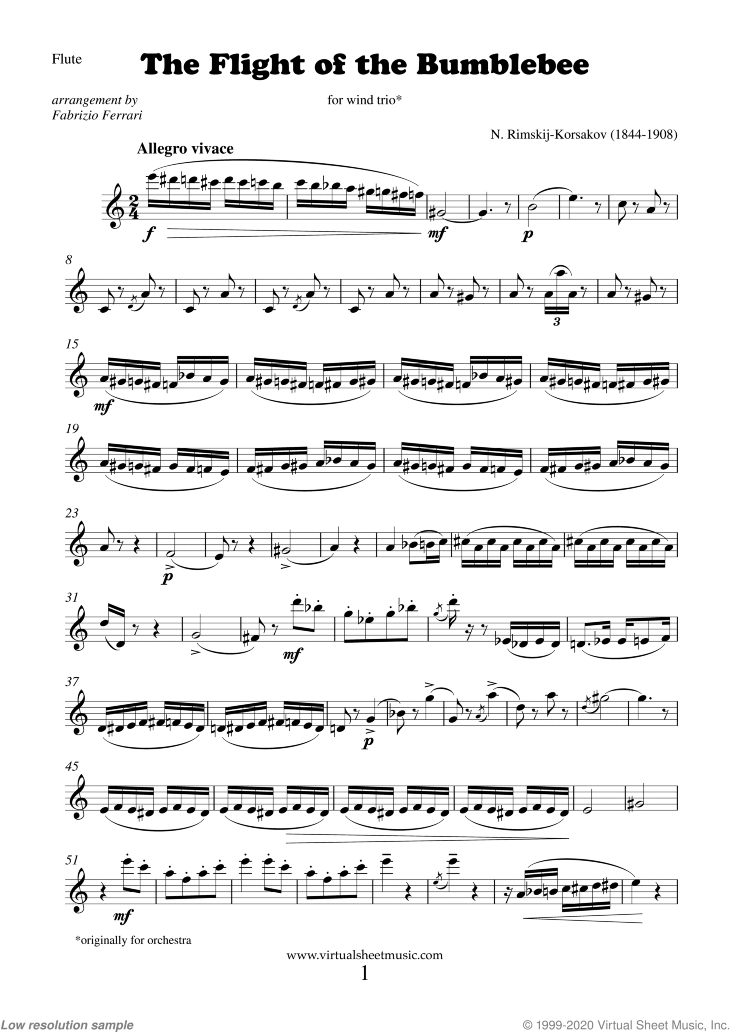 The Flight of the Bumblebee (parts)