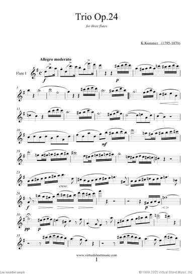 Trio Op.24