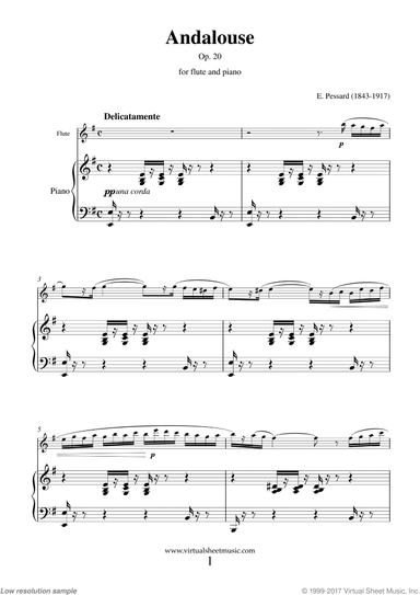 Andalouse Op. 20