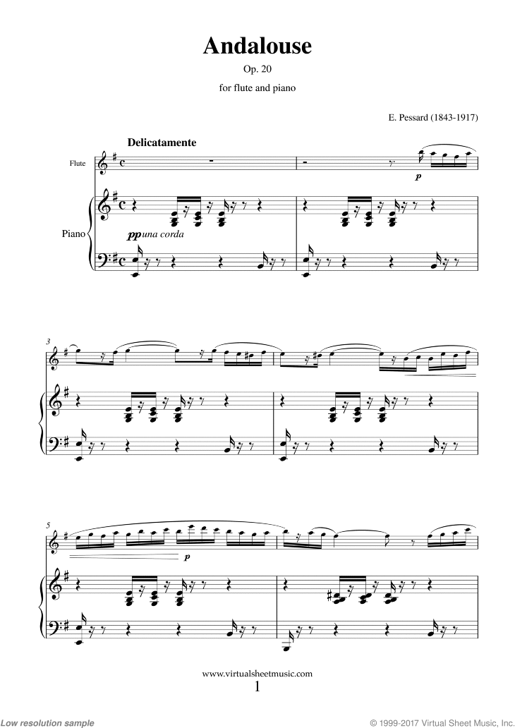 Andalouse Op. 20