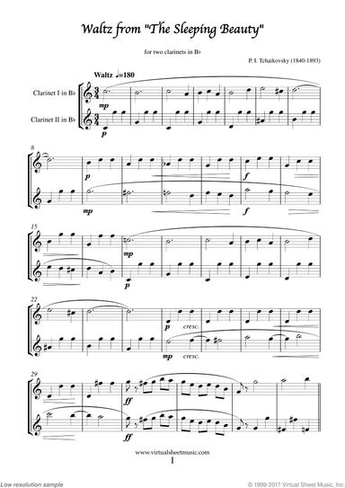 Waltz from The Sleeping Beauty