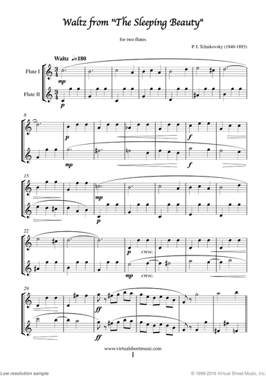 Waltz from The Sleeping Beauty