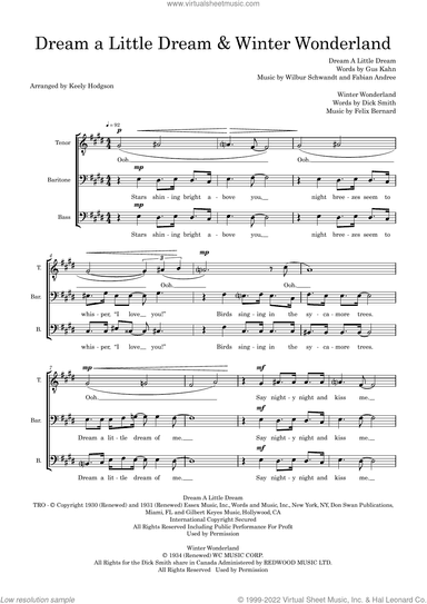 Dream a Little Dream / Winter Wonderland (arr. Keely Hodgson)