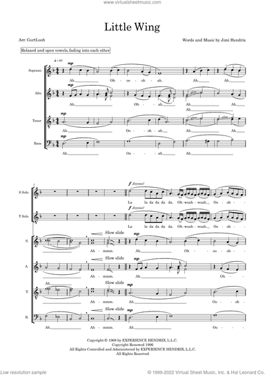 Little Wing (arr. Sam Burns)