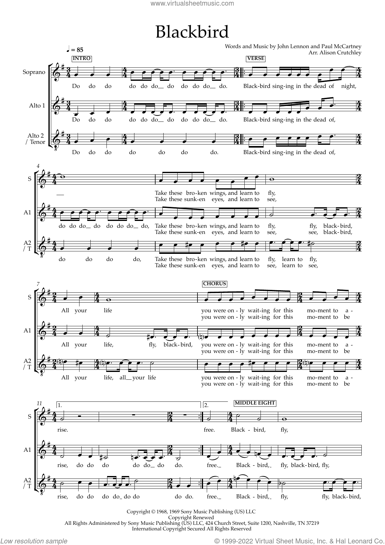 Blackbird (arr. Alison Crutchley)