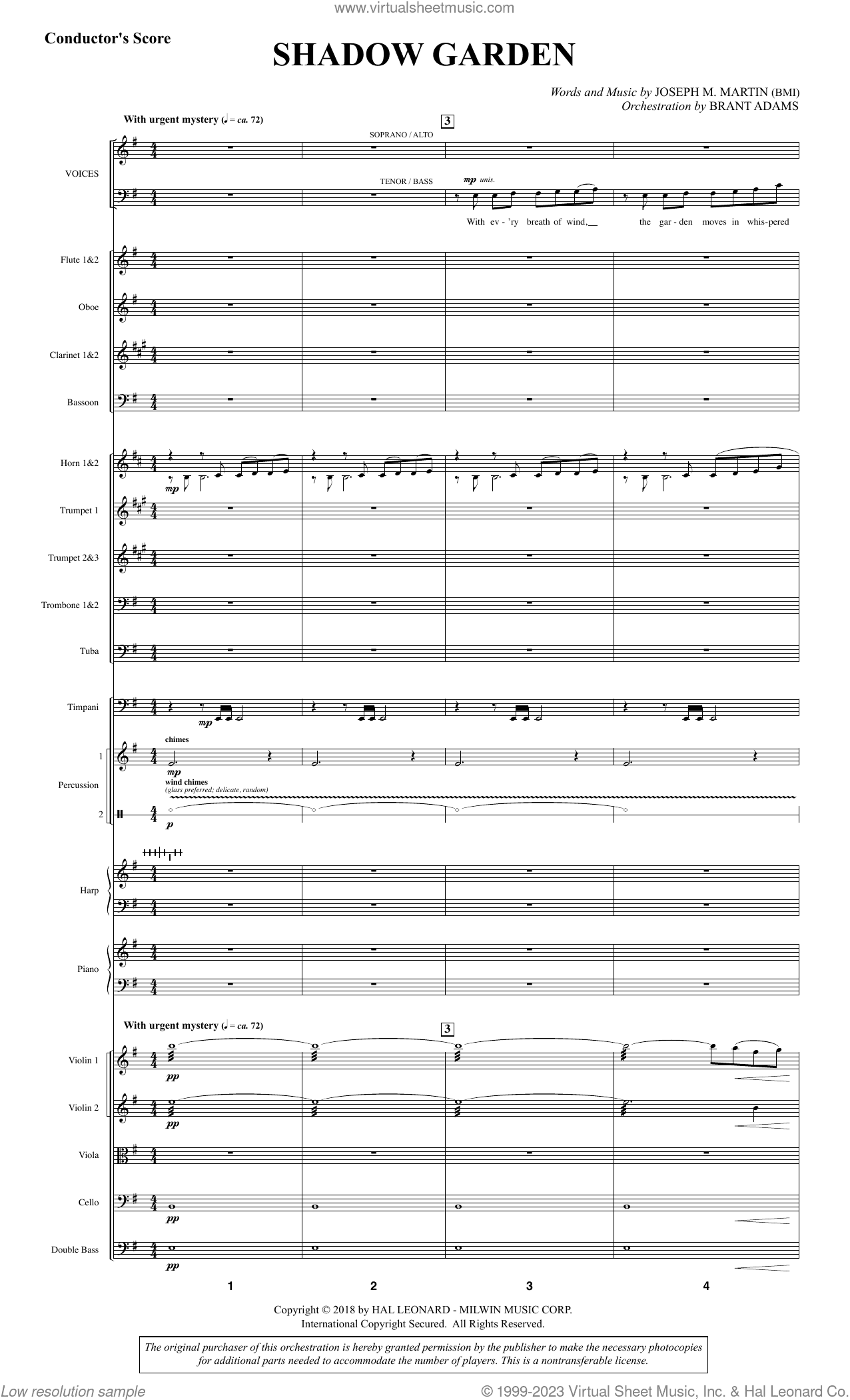Shadow Garden (Full Orchestra) (COMPLETE)