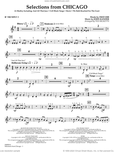 Selections from Chicago (arr. Ted Ricketts)