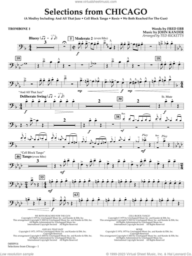 Selections from Chicago (arr. Ted Ricketts)