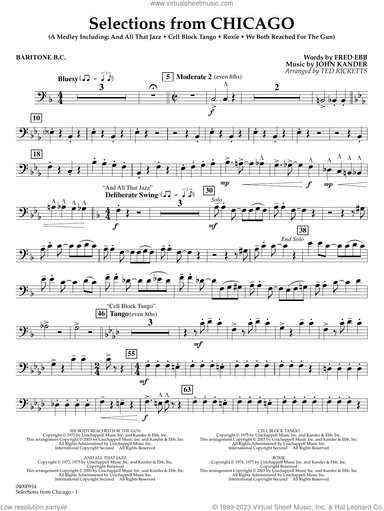 Selections from Chicago (arr. Ted Ricketts)