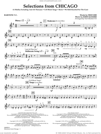 Selections from Chicago (arr. Ted Ricketts)