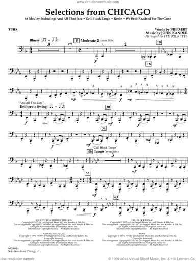 Selections from Chicago (arr. Ted Ricketts)
