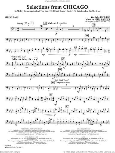 Selections from Chicago (arr. Ted Ricketts)