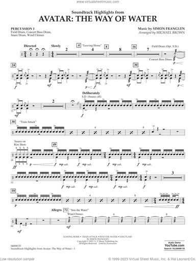 Soundtrack Highlights from Avatar: The Way of Water (arr. Brown)