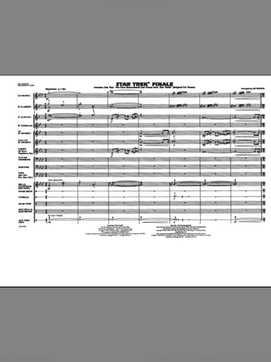 Star Trek Finale (COMPLETE)