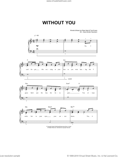 Without You