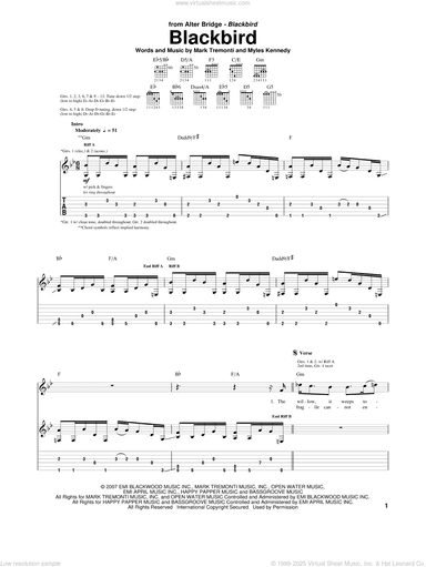 Blackbird