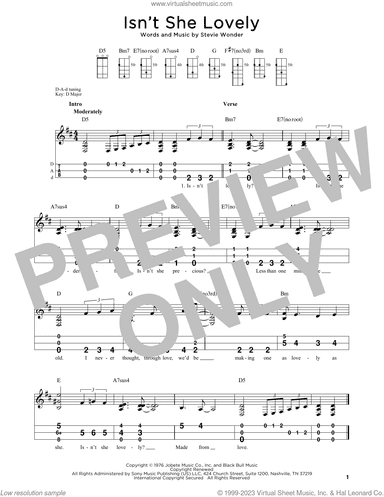 Isn't She Lovely (arr. Steven B. Eulberg)