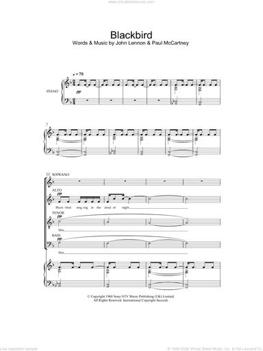 Blackbird