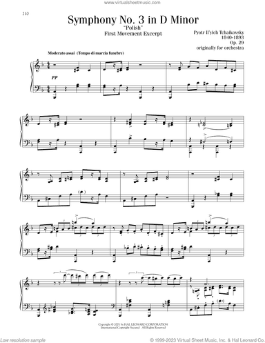 Symphony No. 3 In D Minor ("Polish"), Op. 29, First Movement Excerpt