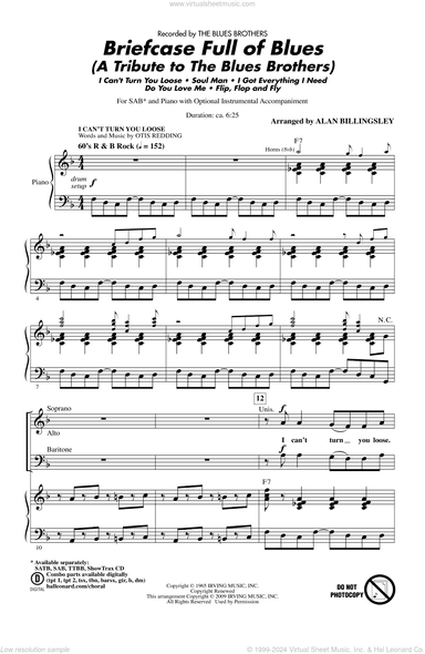 Briefcase Full Of Blues (A Tribute to the Blues Brothers)