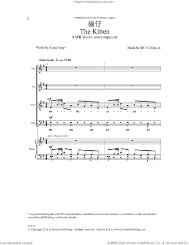 The Kitten