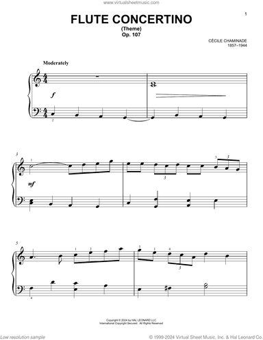 Flute Concertino