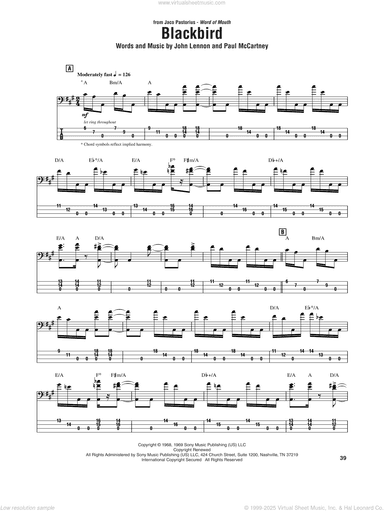 Blackbird