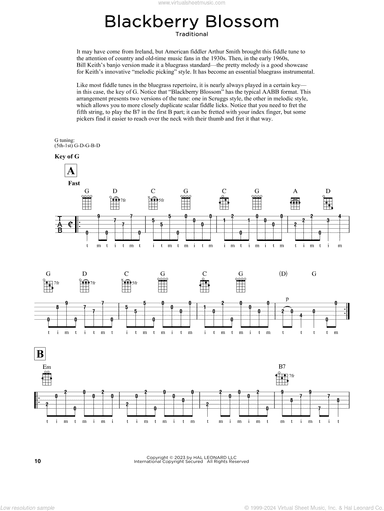 Blackberry Blossom (arr. Fred Sokolow)