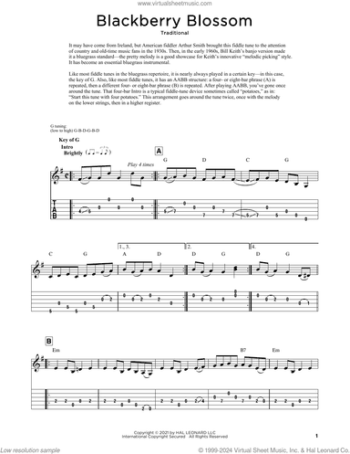 Blackberry Blossom (arr. Fred Sokolow)