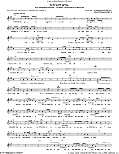 They Live In You (from The Lion King: Broadway Musical)