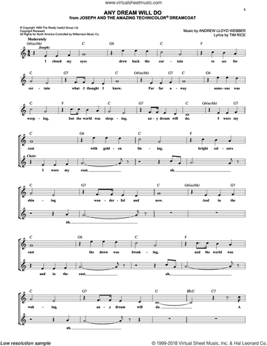 Any Dream Will Do (from Joseph and the Amazing Technicolor Dreamcoat)