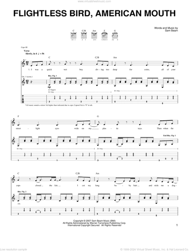 Flightless Bird, American Mouth