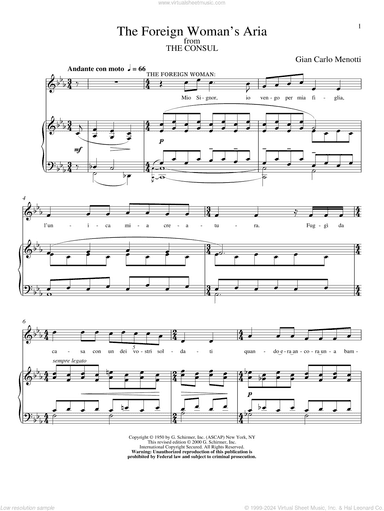 The Foreign Woman's Aria