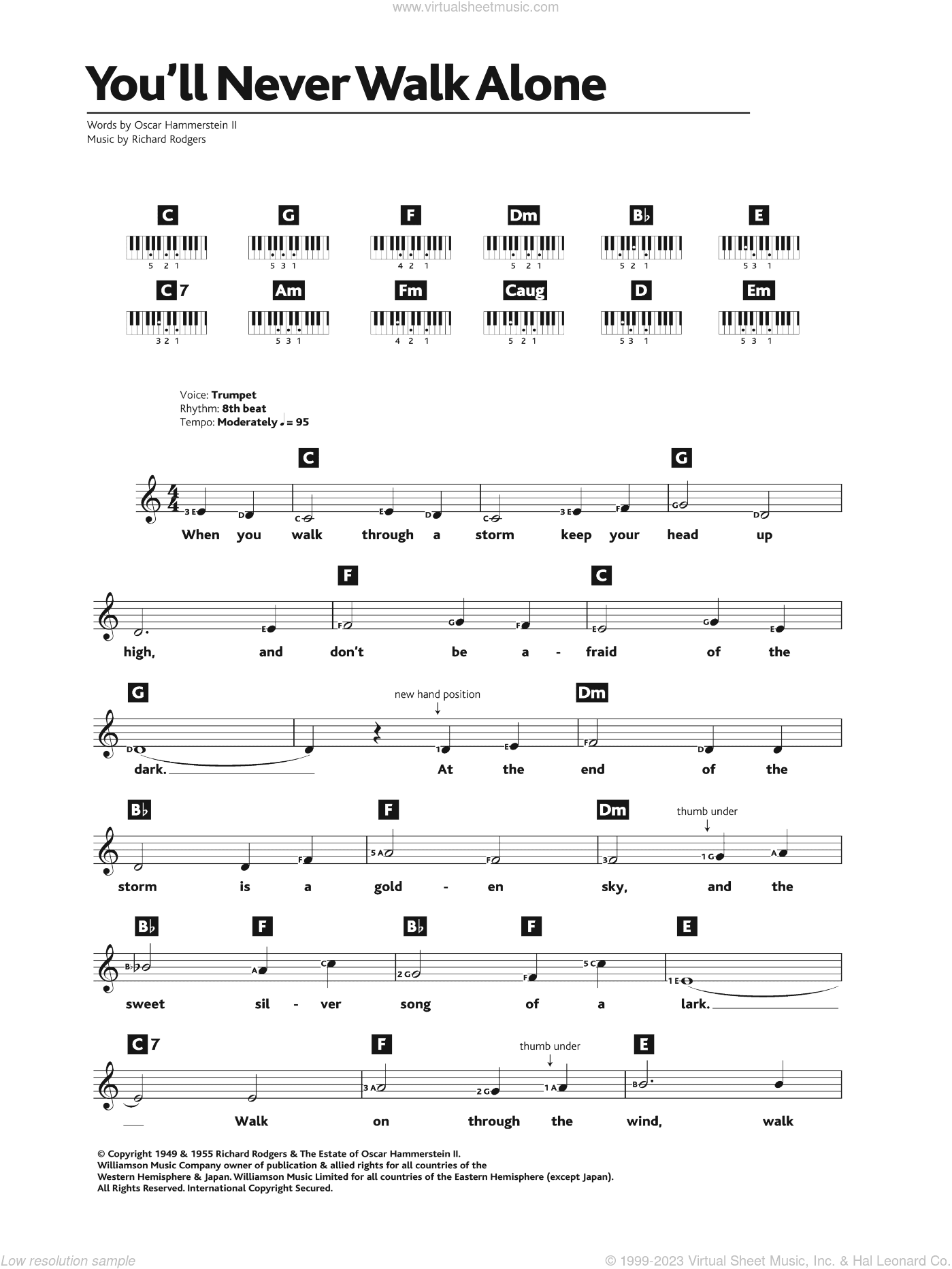 You'll Never Walk Alone (from Carousel)