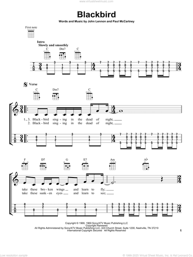 Blackbird