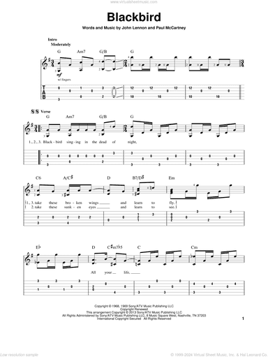 Blackbird