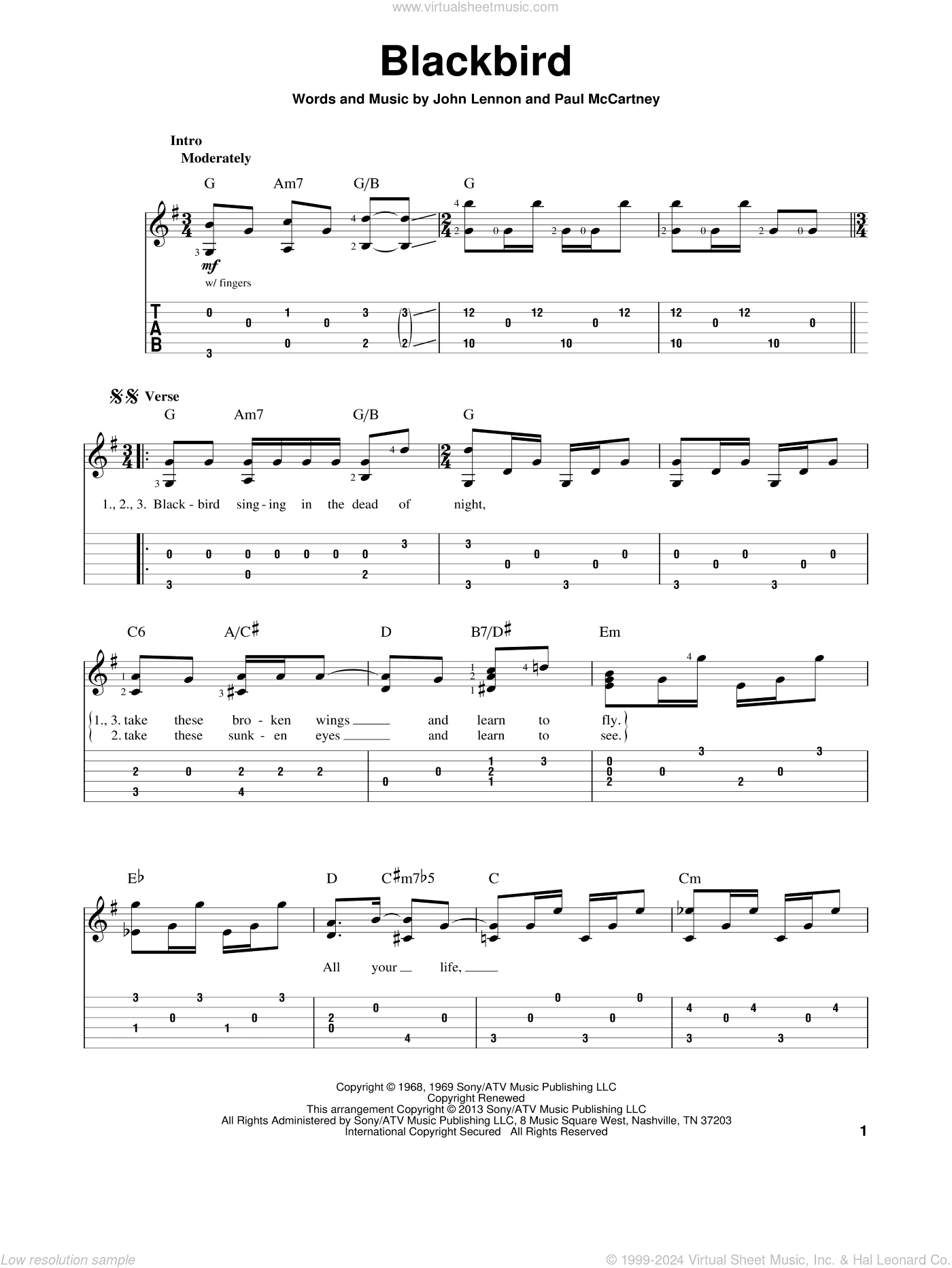 Blackbird