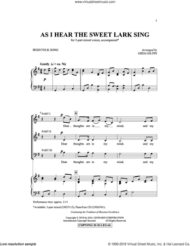 As I Hear The Sweet Lark Sing