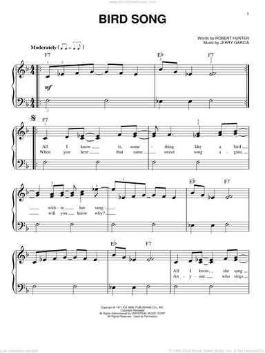 Bird Song