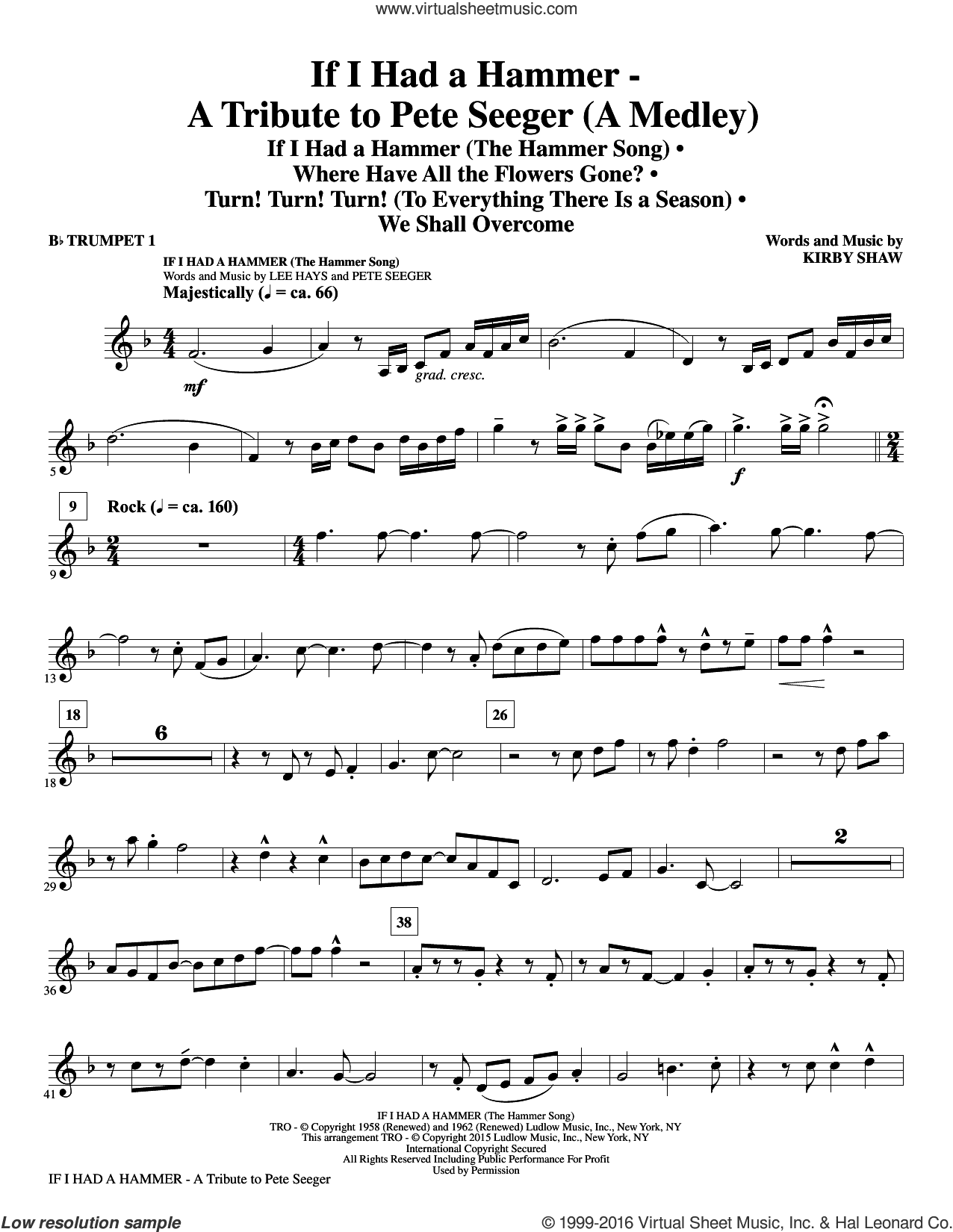 If I Had A Hammer, a tribute to pete seeger