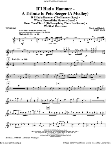 If I Had A Hammer, a tribute to pete seeger