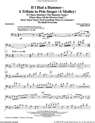 If I Had A Hammer, a tribute to pete seeger
