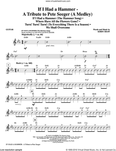 If I Had A Hammer, a tribute to pete seeger