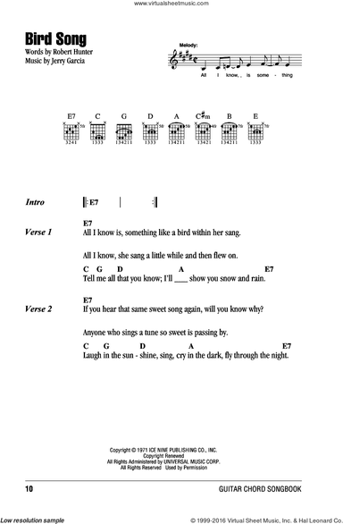 Bird Song