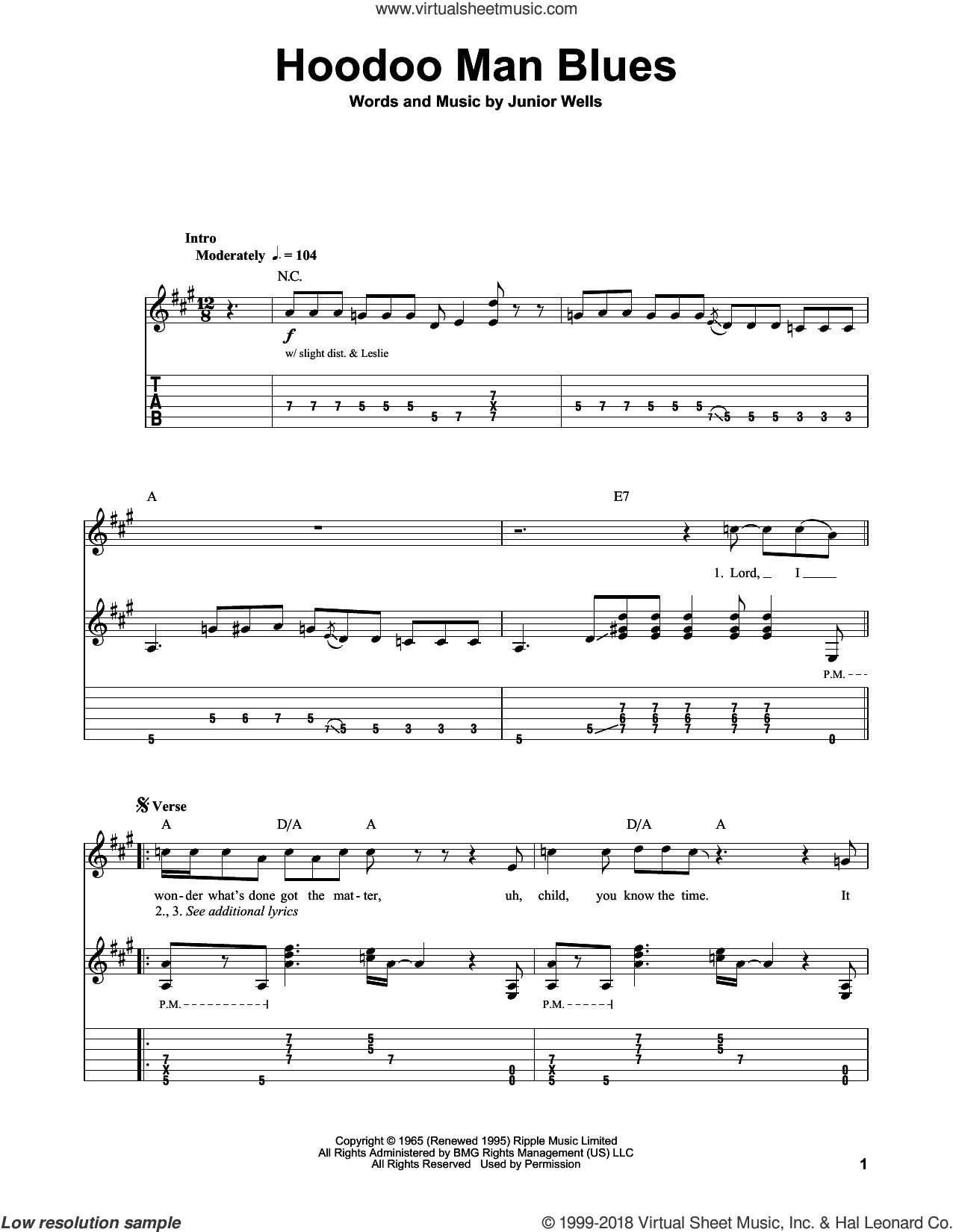 Hoodoo Man Blues