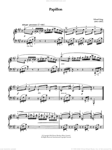 Papillon